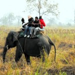 Jaldapara Elephant Safari